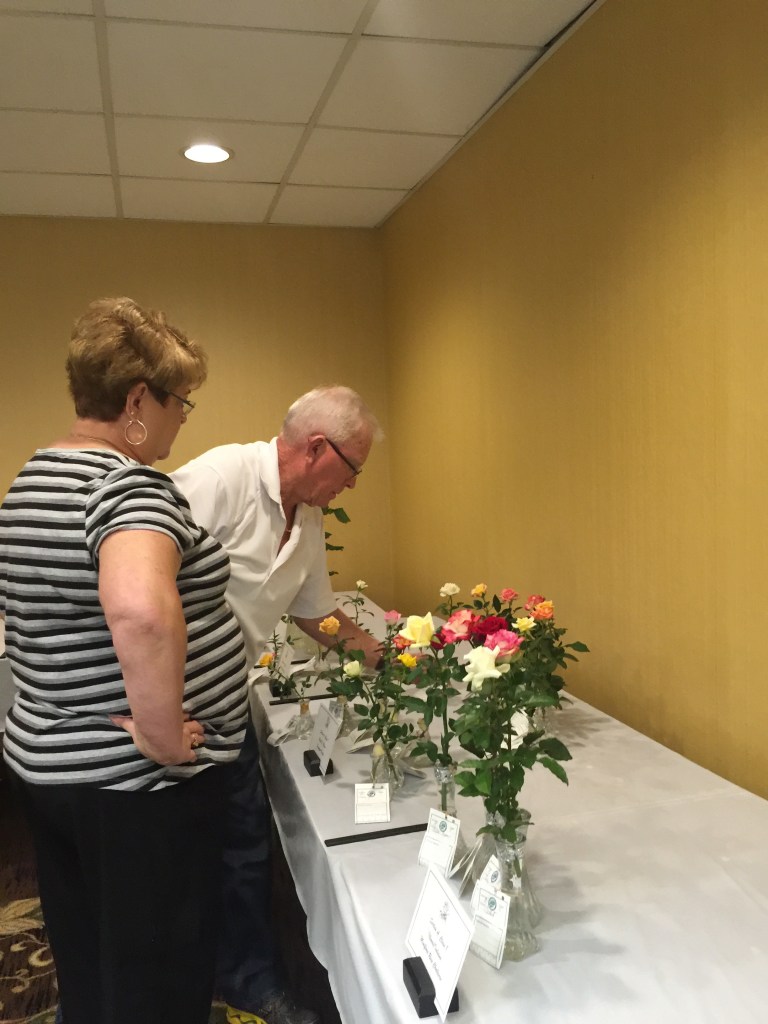 Their careful grooming and growing paid off!