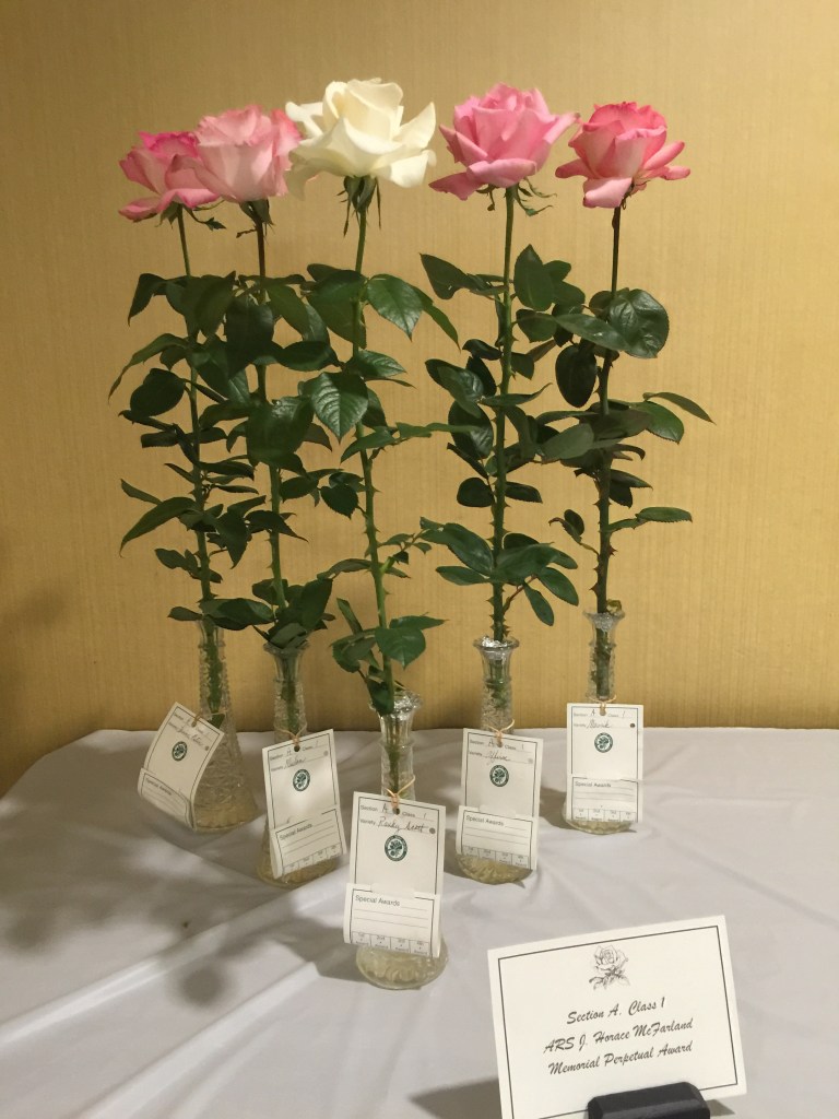 McFarland Memorial Award John and Donna Hefner