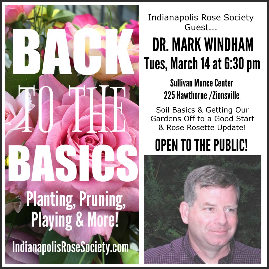 final-mark-ad_framed