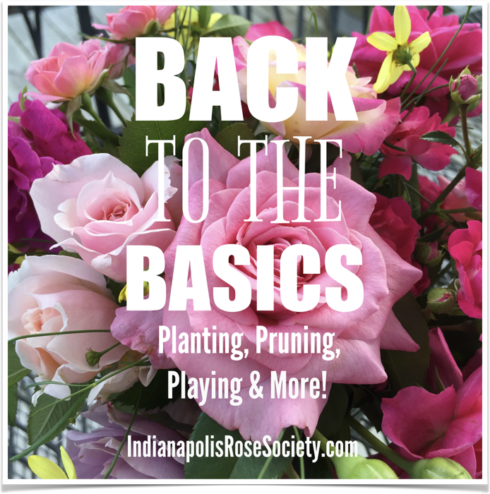 messages-image3878672272