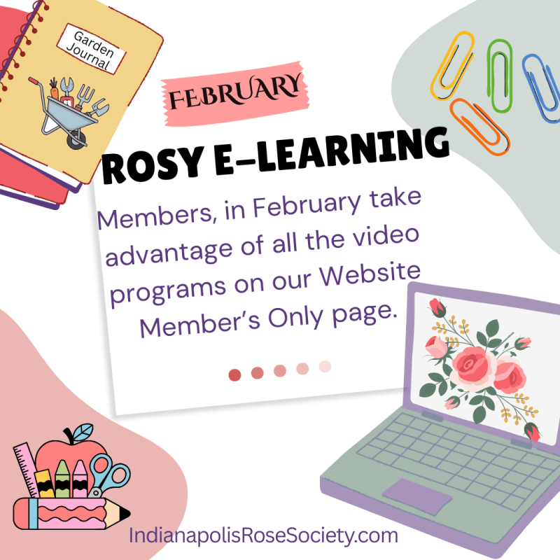 ROSY E-LEARNING