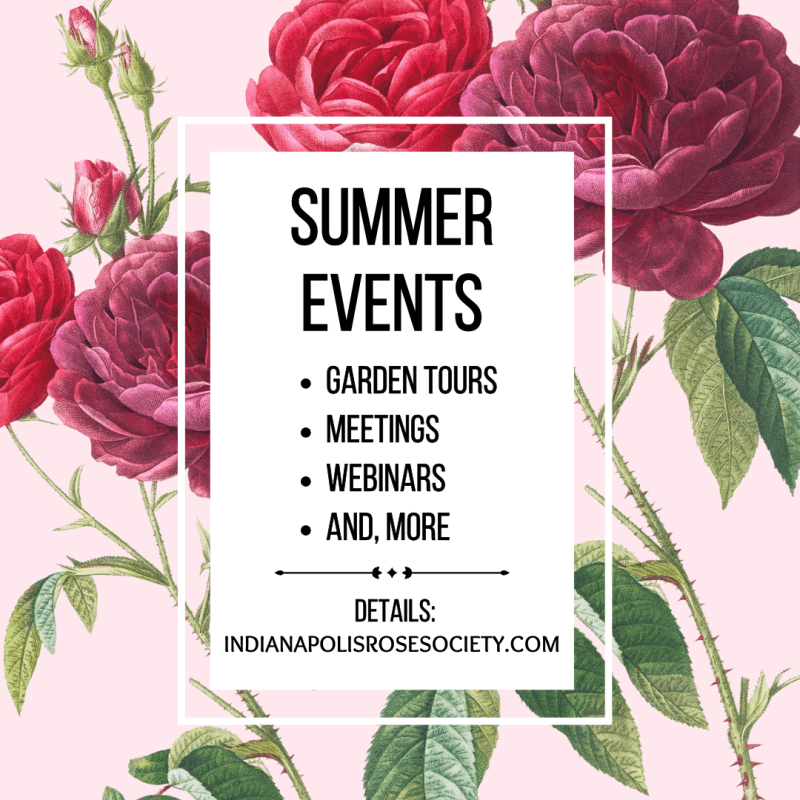 SUMMER EVENTS