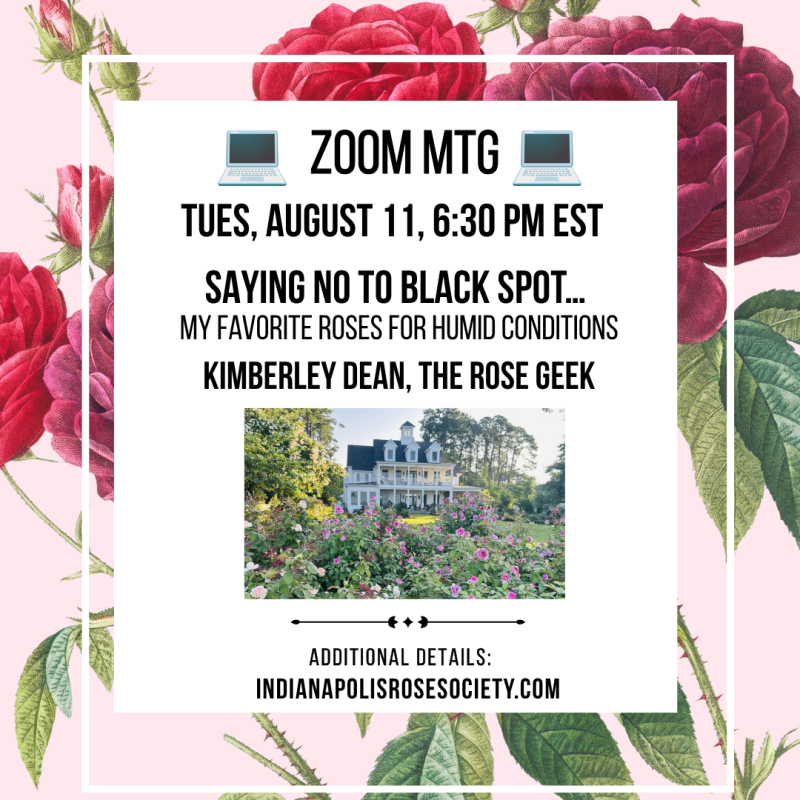 AUGUST MEETINGS